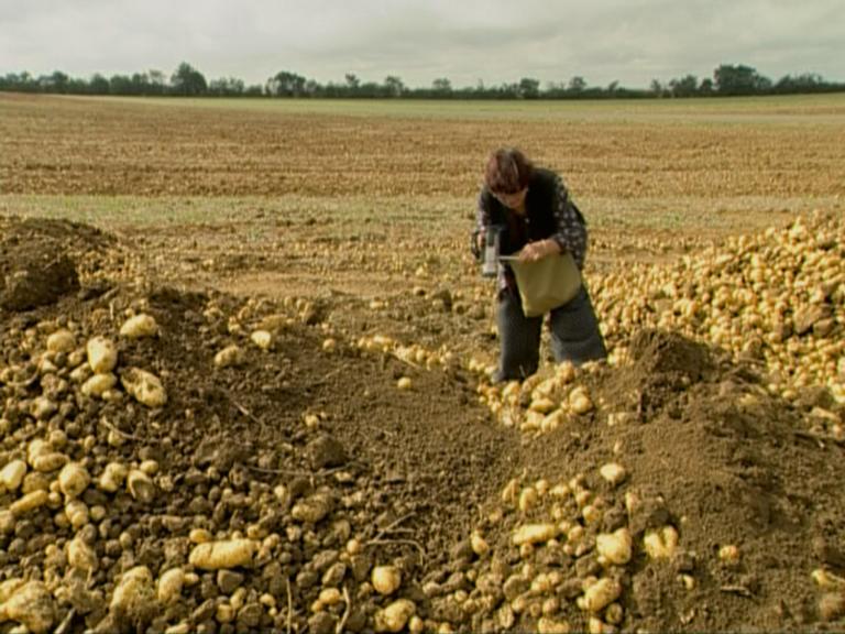 Glaneurs et la Glaneuse