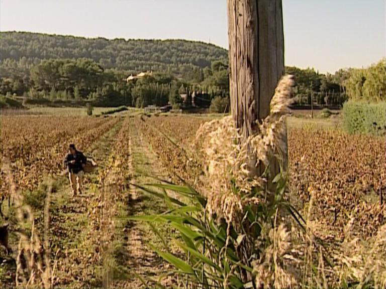 Glaneurs et la Glaneuse